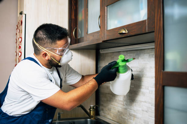Best Pest Control Near Me in Town And Country, WA