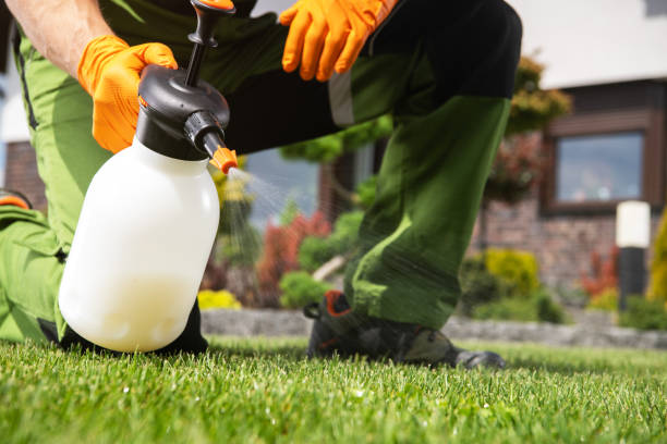 Reliable Town And Country, WA Pest Control Solutions